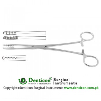 Ulrich Dressing Forcep Straight Stainless Steel, 22.5 cm - 8 3/4"